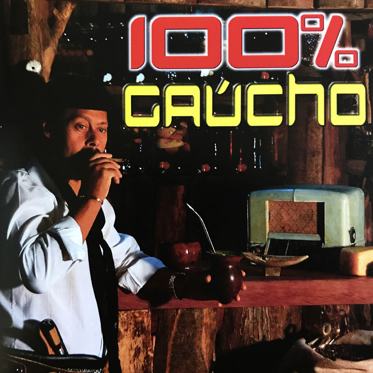 Album cover of 100% Gaúcho