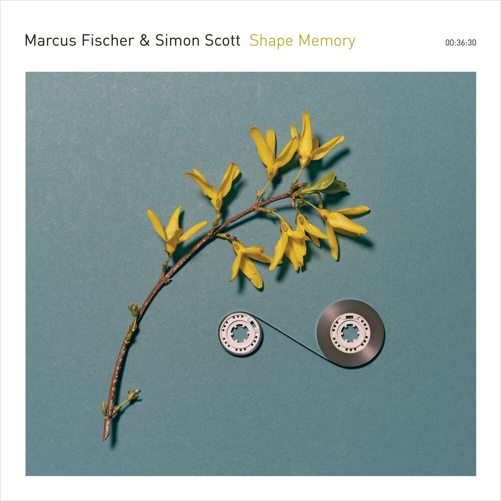 Picture of Shape Memory