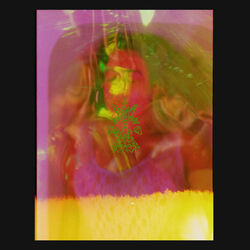 Cover of I Don’t Think I Can Do This Again