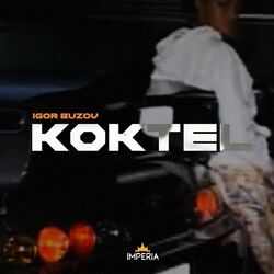 Cover of Koktel
