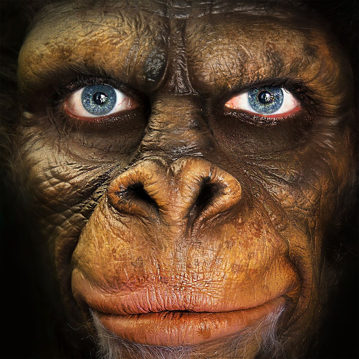 Album cover of Sapiens