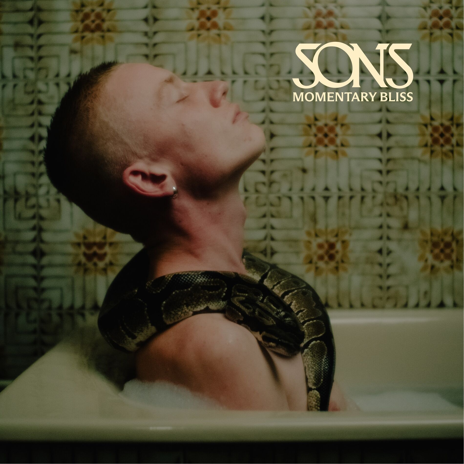 Album cover of Momentary Bliss (Acoustic Version)