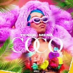 Cover of Coco
