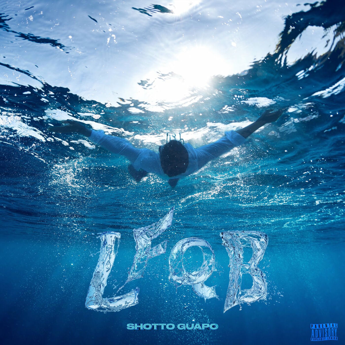 Album cover of LFQB