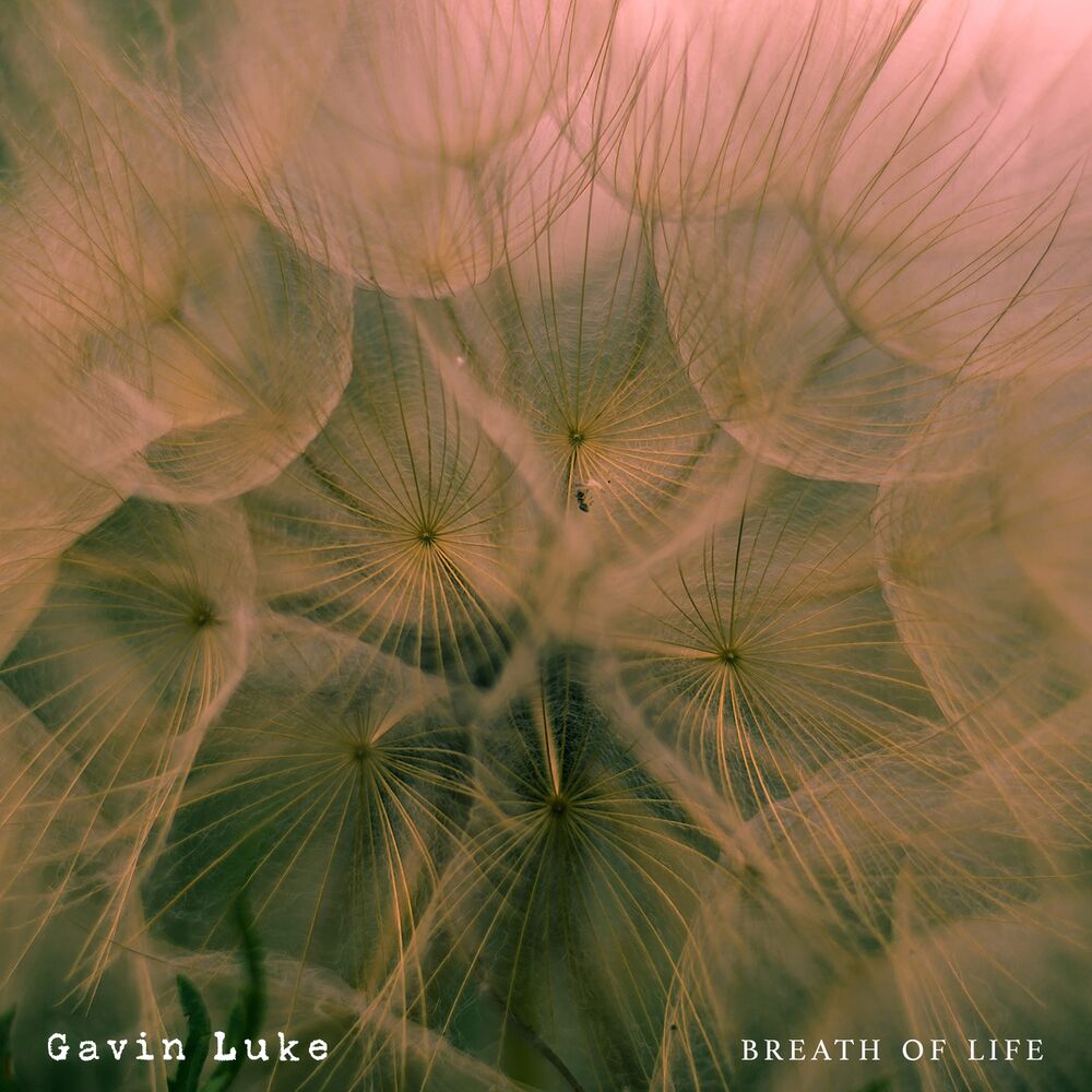 Picture of Breath of Life