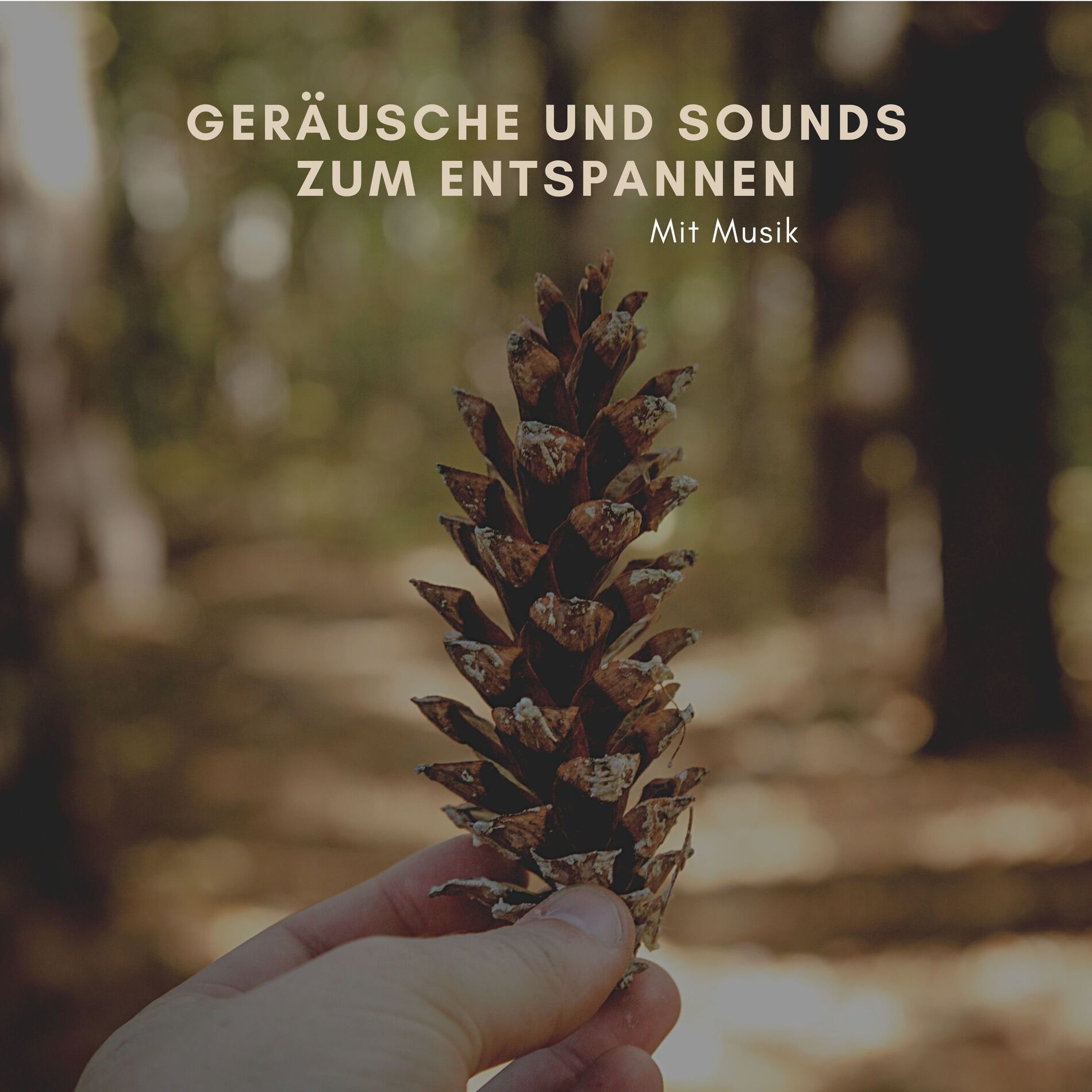 Album cover of Hintergrundmusik zum Entspannen