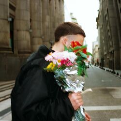 Cover of MORFEO