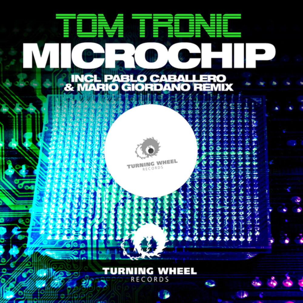 Picture of Microchip