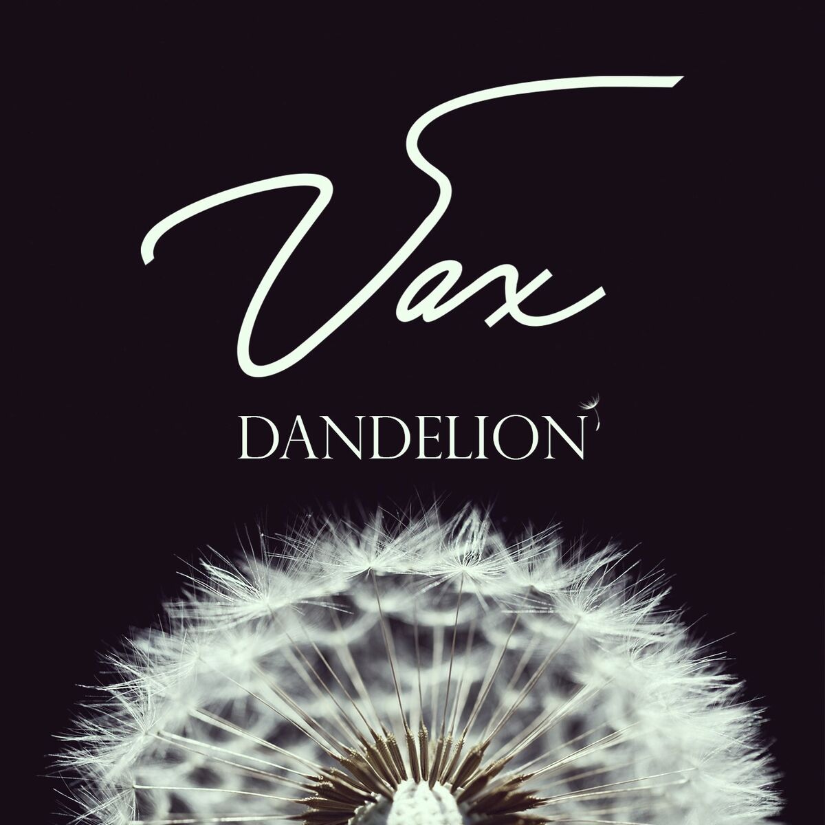 Album cover of Dandelion