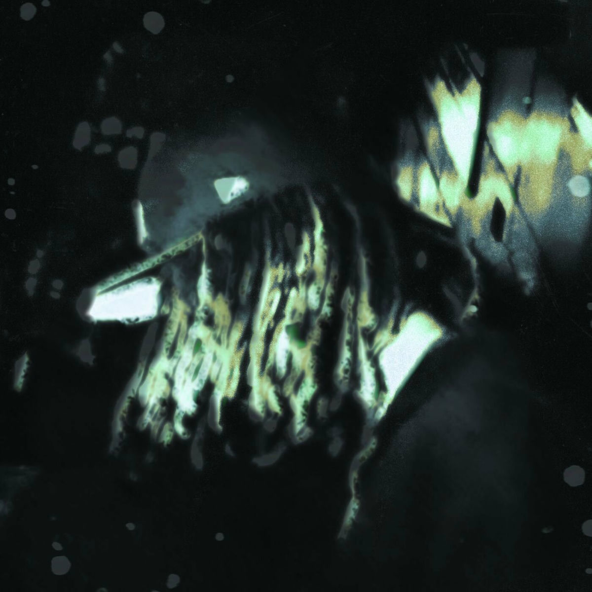 Album cover of Chasing