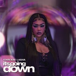 Cover of It's Going Down