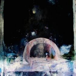 Cover of Not to Disappear