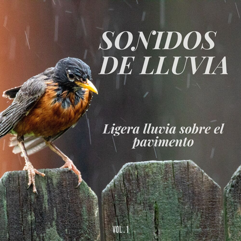 Picture of Sonidos de lluvia: Ligera lluvia sobre el pavimento Vol.1