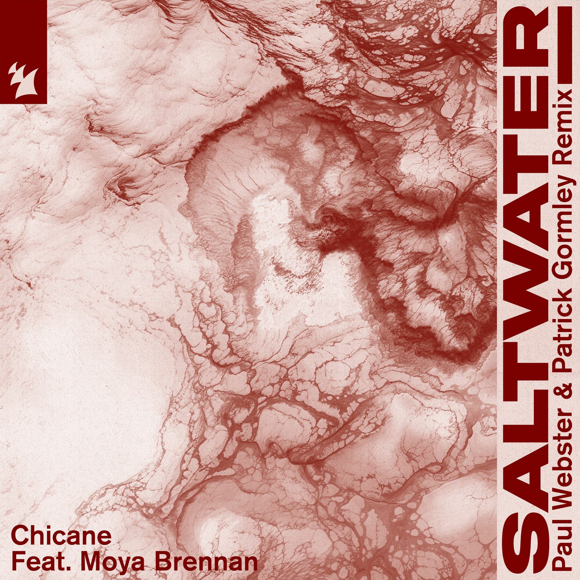 Album cover of Saltwater