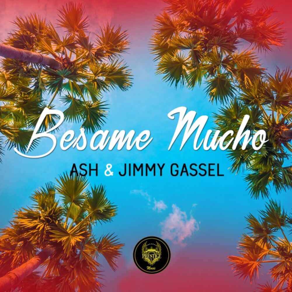Picture of Besame Mucho (Moombahton Summer Mix)