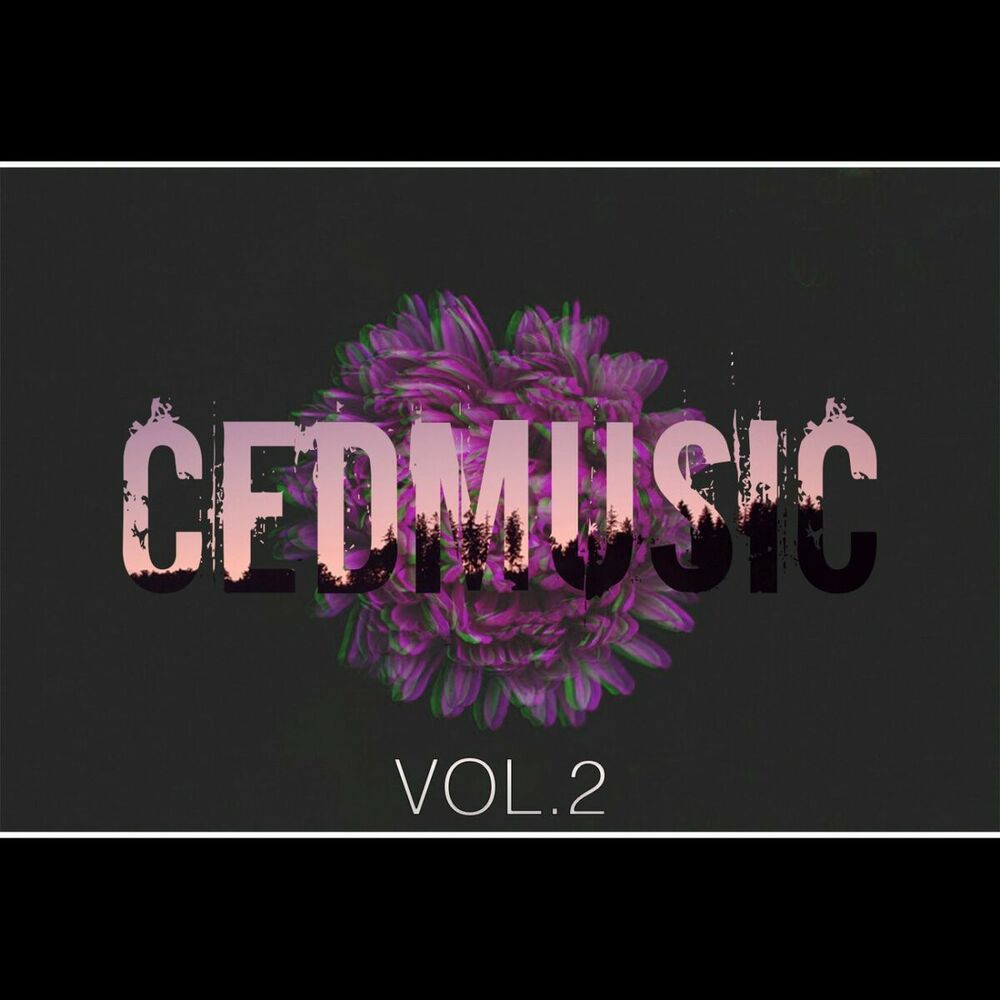 Picture of CedMusic Vol.2