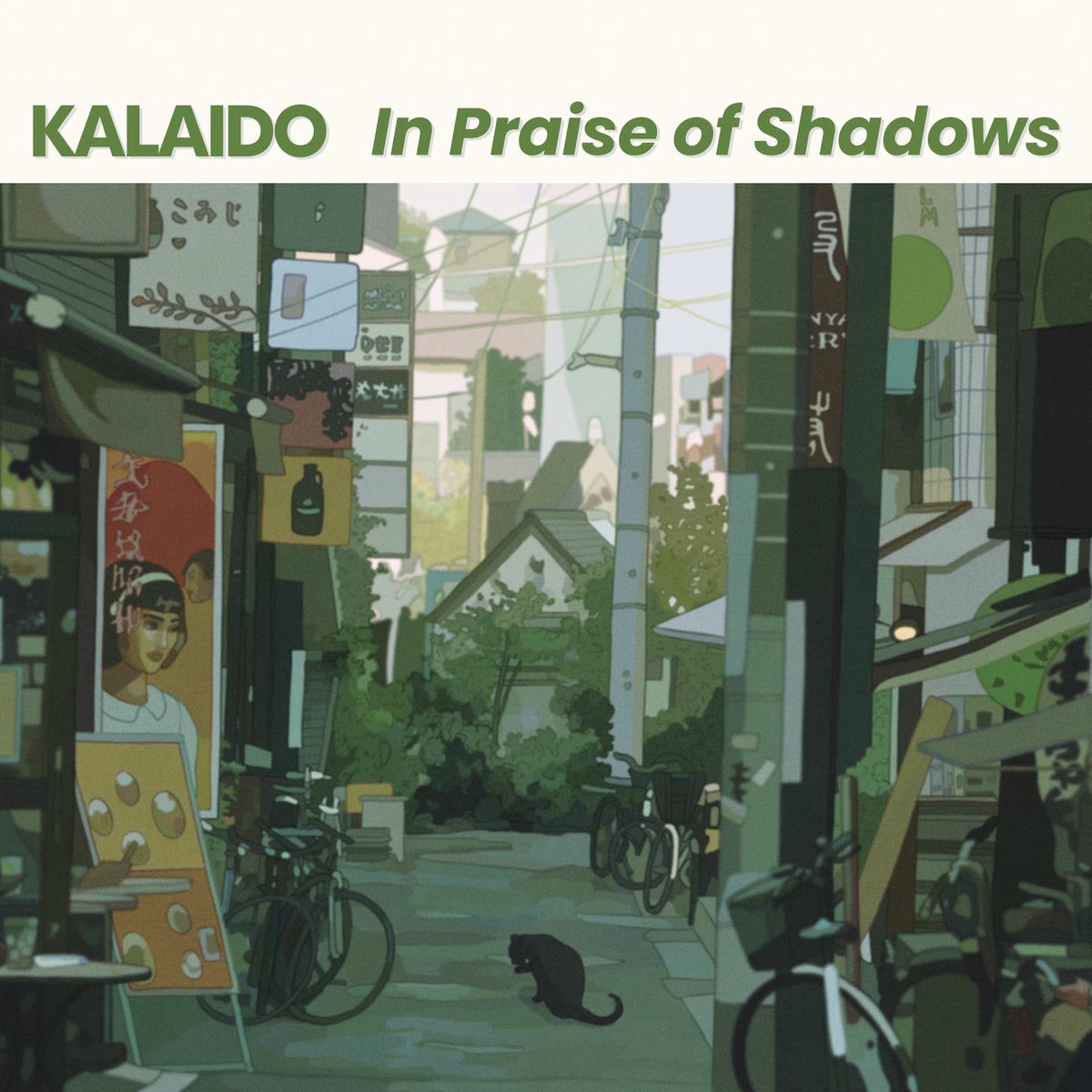 Album cover of In Praise of Shadows