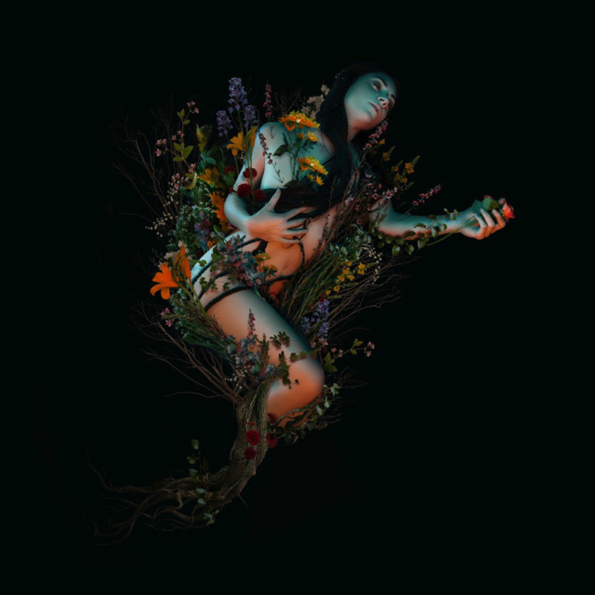 Album cover of Bloom