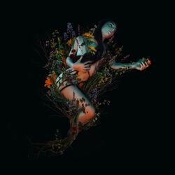 Cover of Bloom