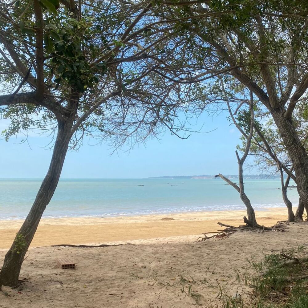 Picture of TROPICAL (Acoustic)