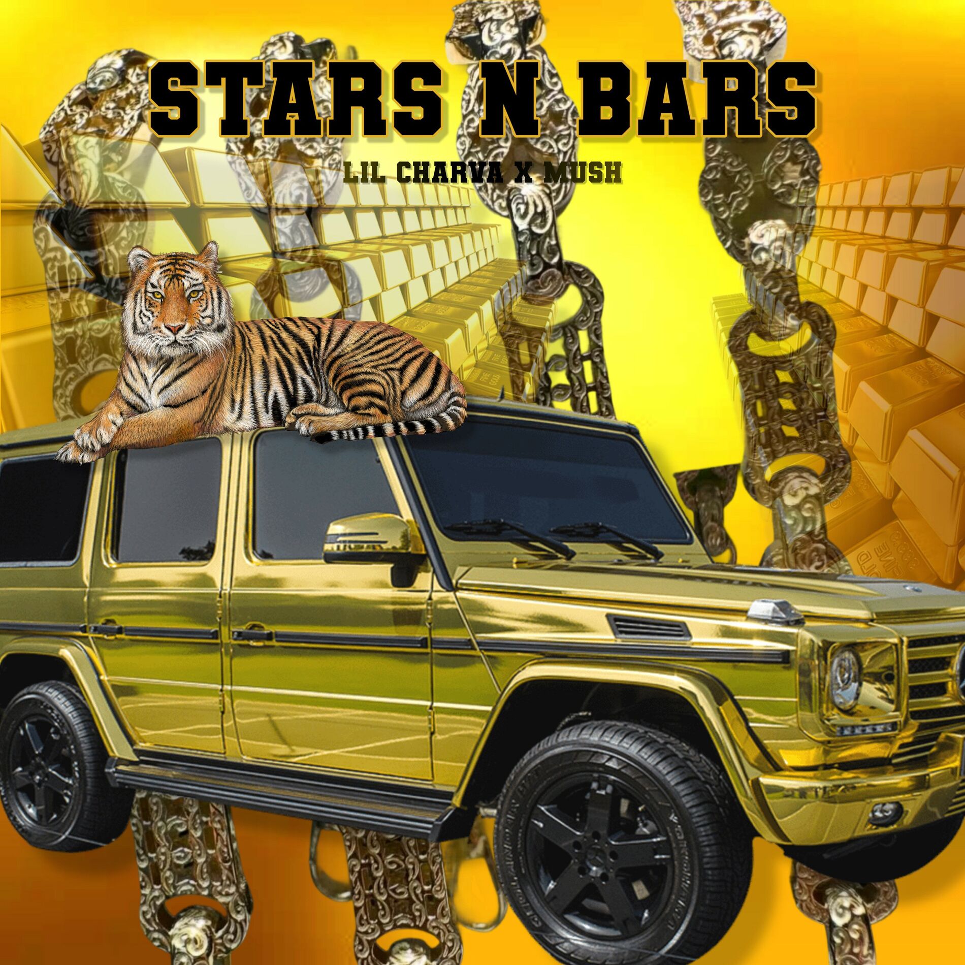 Album cover of STARS N BARS