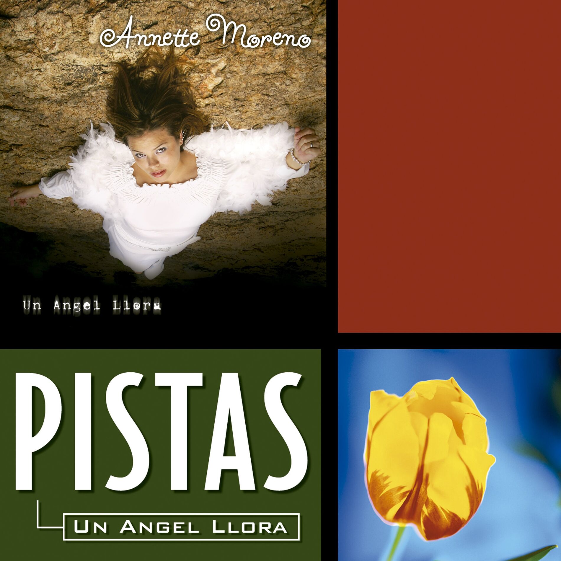Album cover of Amor Amor Amor (Pista)