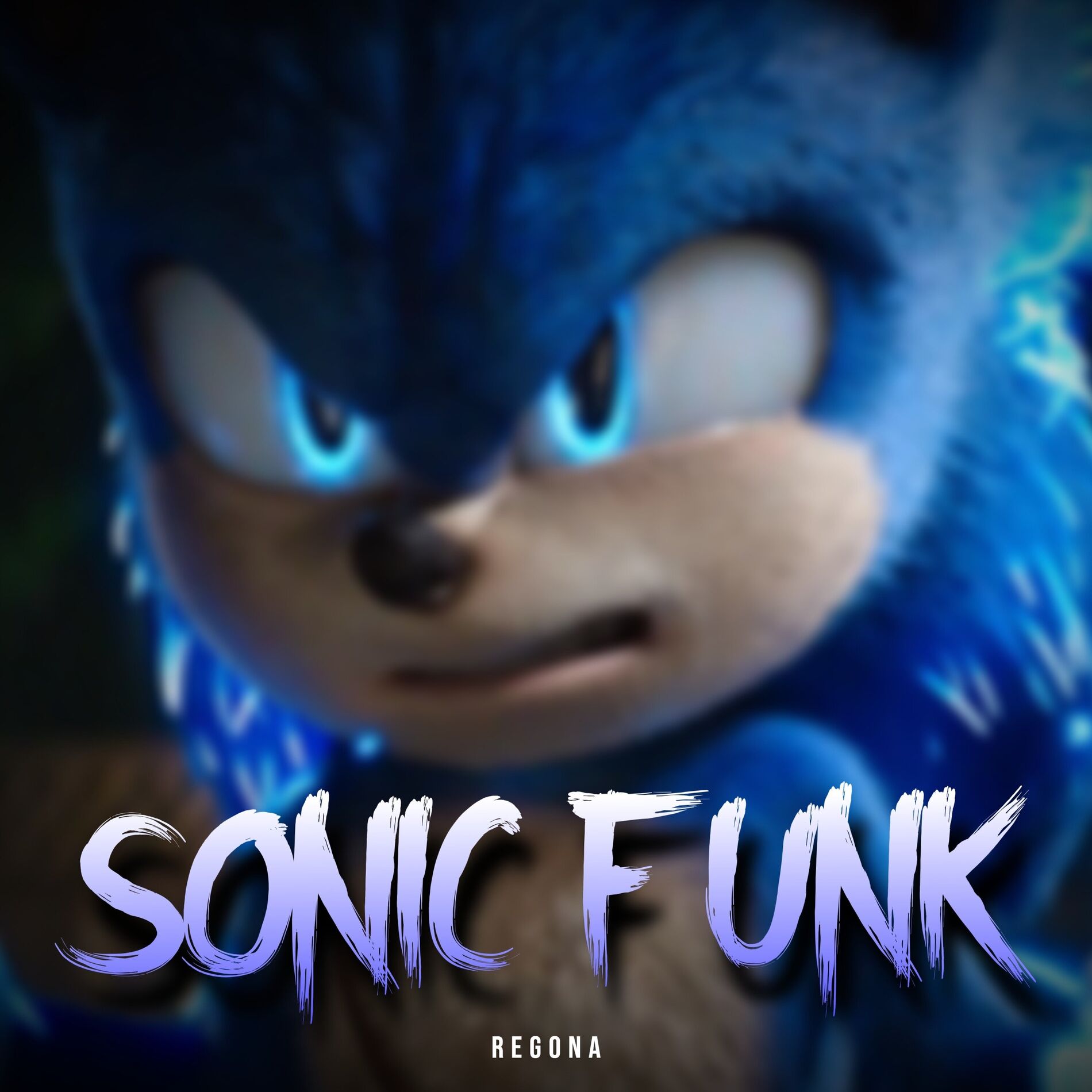 Album cover of SONIC FUNK