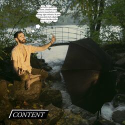 Cover of Content