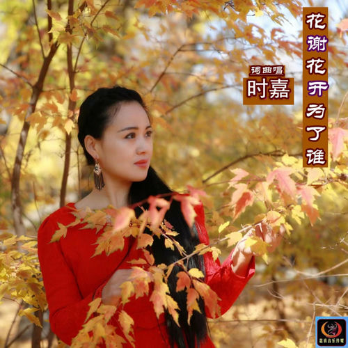 花谢花开为了谁 (DJ晓朋版)