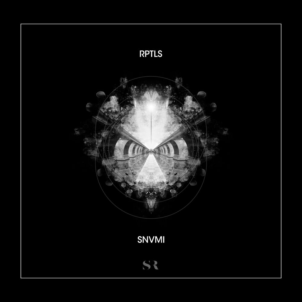 Picture of SNVMI