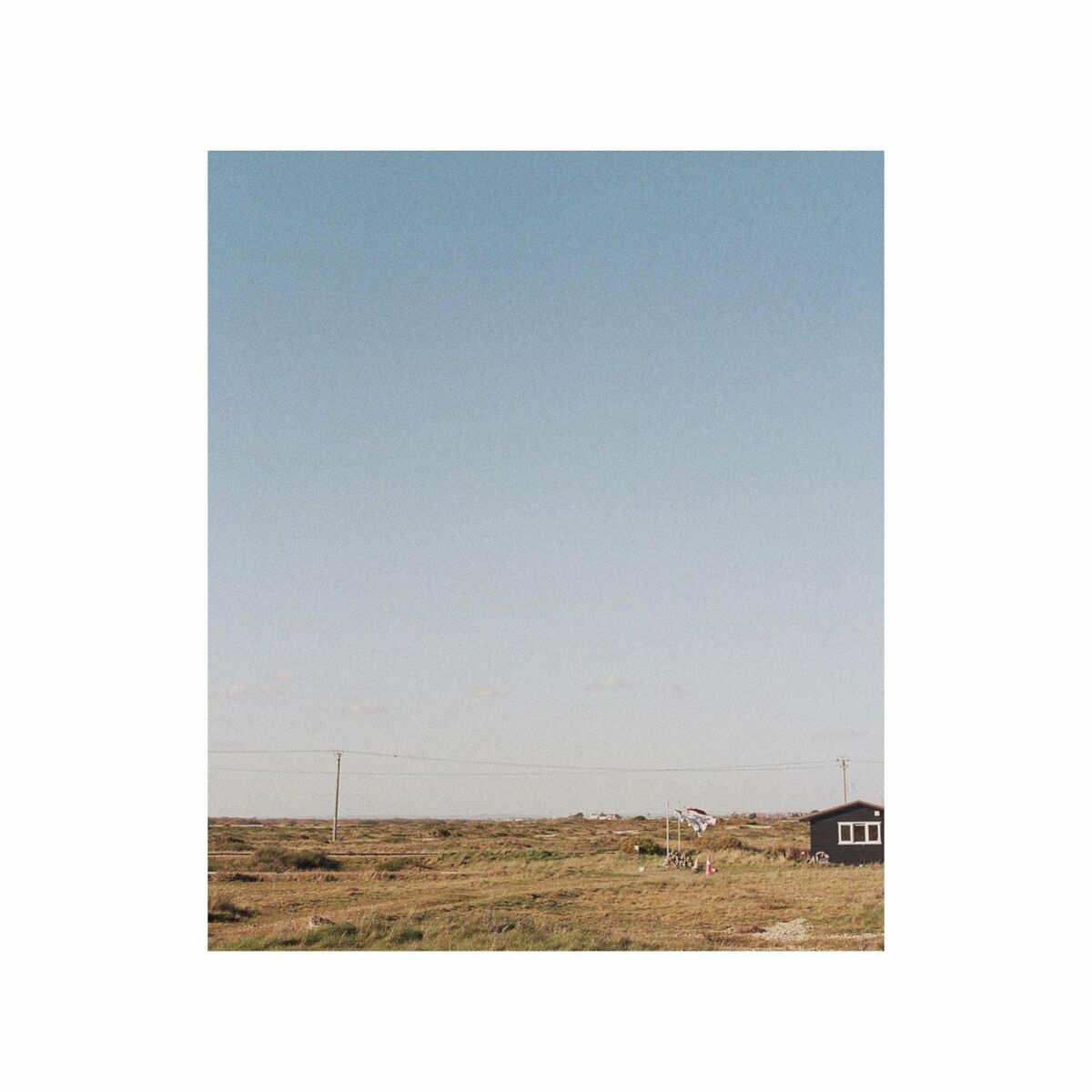 Album cover of If You Send for Me