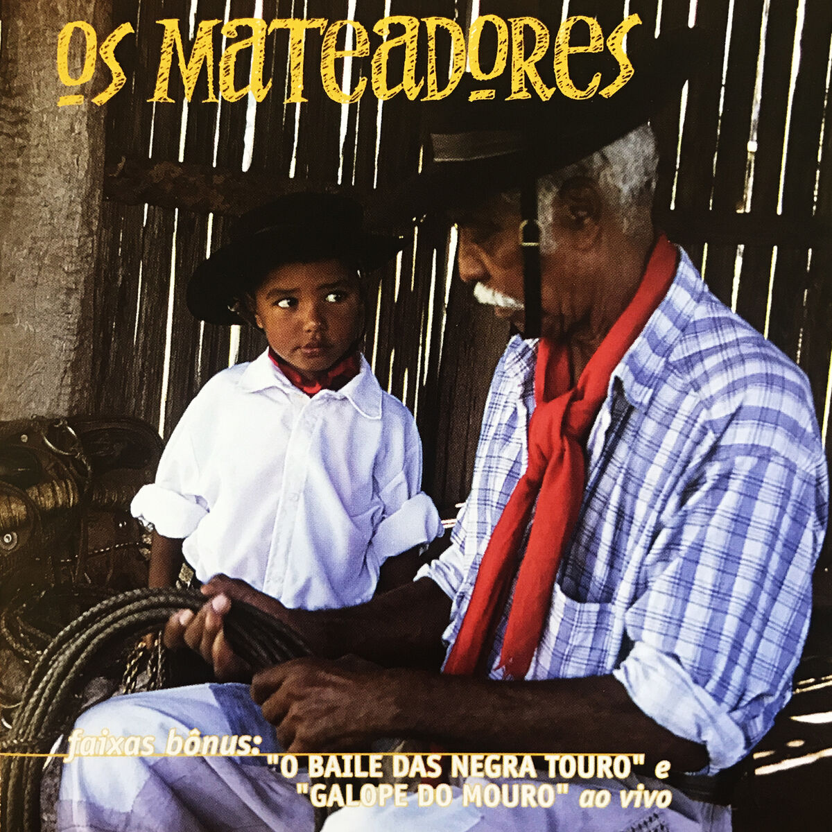 Album cover of Herança de Campeiro