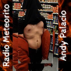 Cover of Radio Meteorito (Radio Edit)
