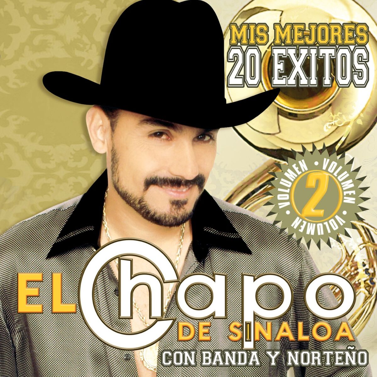Album cover of Mis Mejores 20 Exitos Vol. II