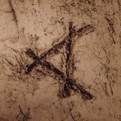 Cover of Tracked In Mud
