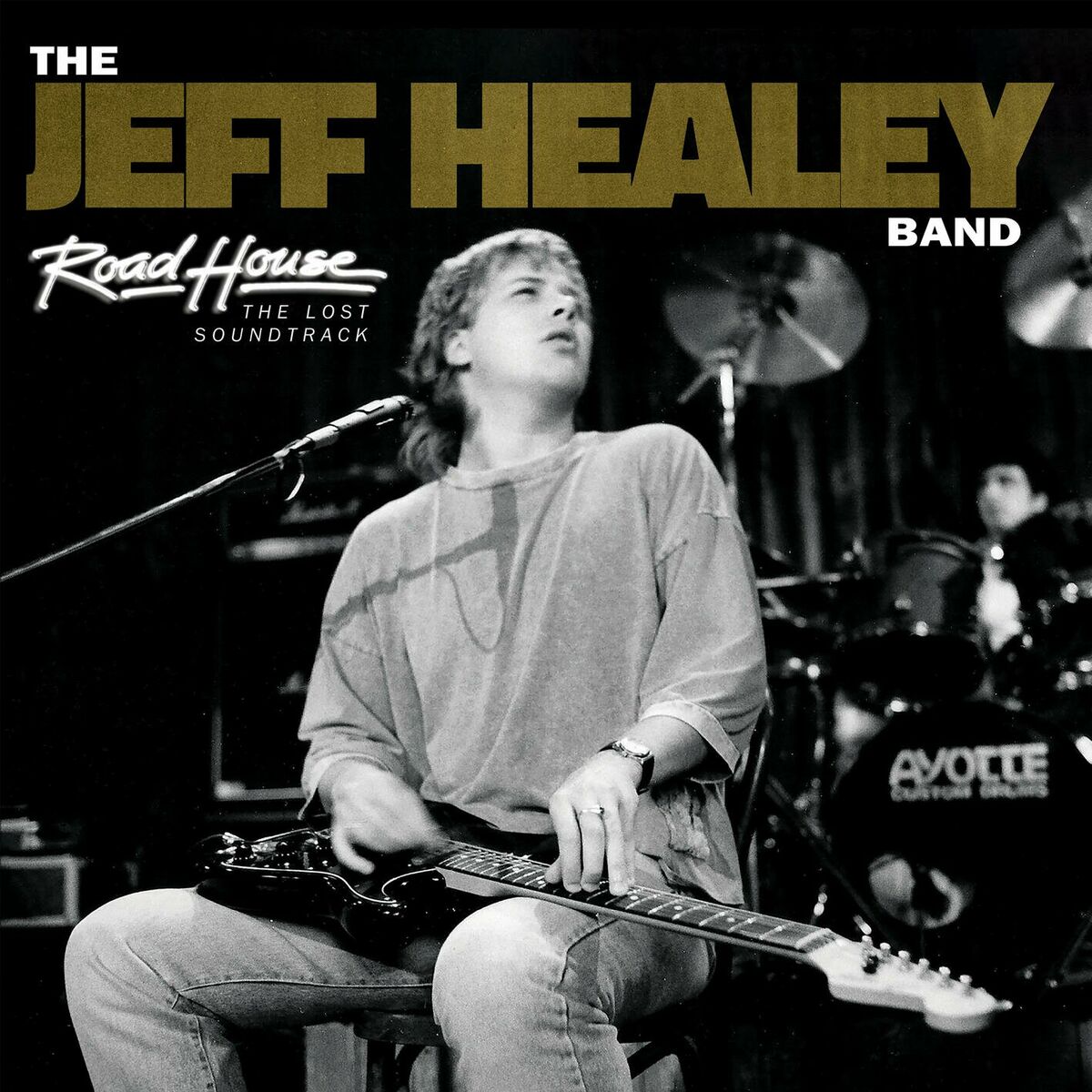 Album cover of When The Night Comes Falling From The Sky