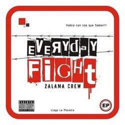 Cover of Everyday Fight
