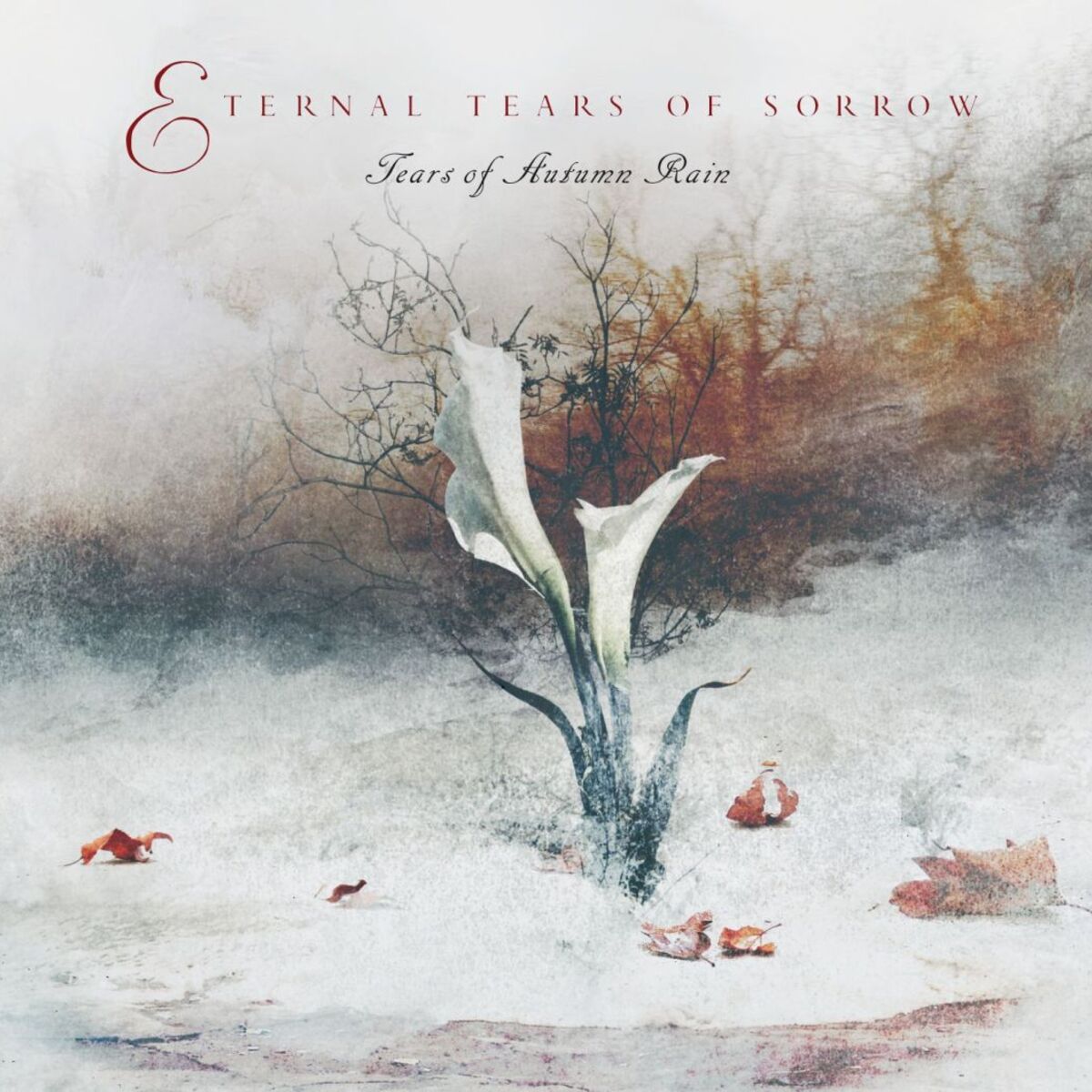 Album cover of Tears Of Autumn Rain / Vilda Mannu