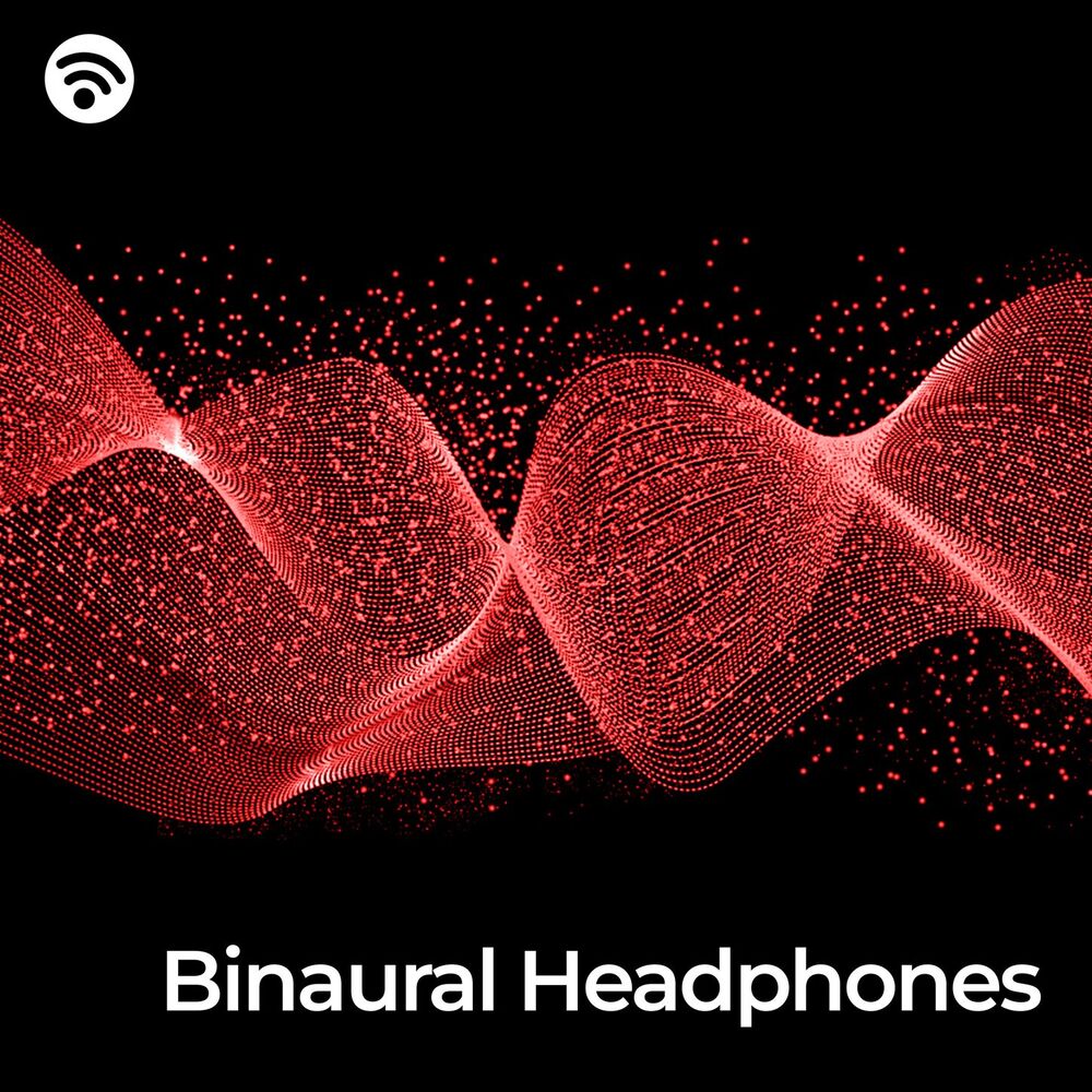 Picture of Binaural Headphones