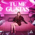 Tu Me Gustas