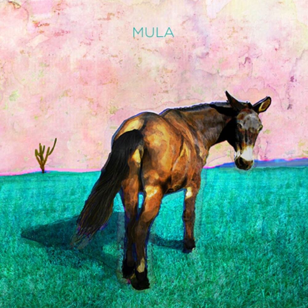 Picture of Mula