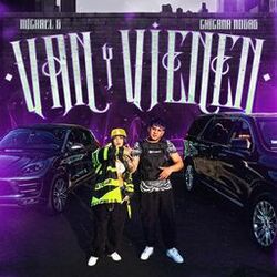 Cover of Van y Vienen