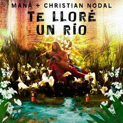 Cover of Te Lloré Un Río