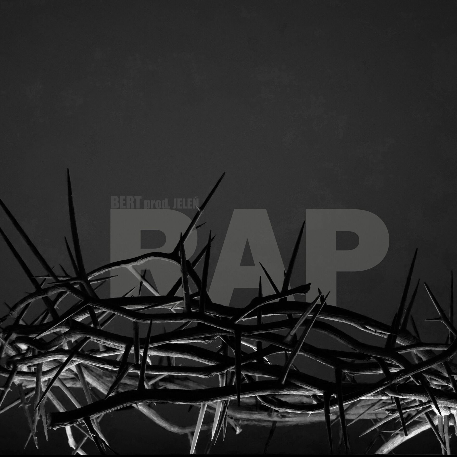 Album cover of RAP (feat. Jeleń)