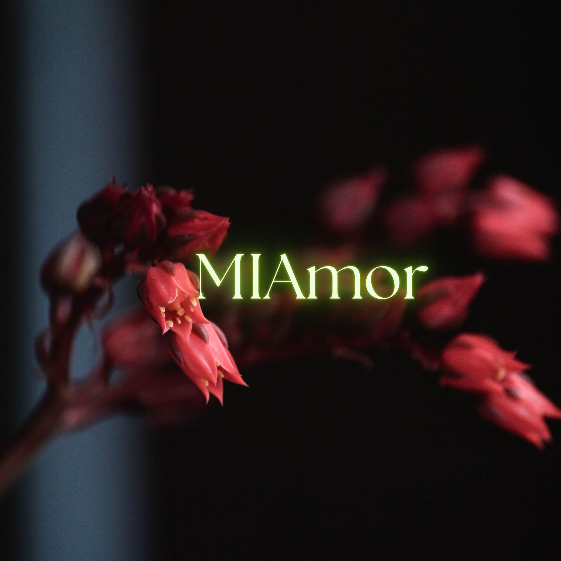 Album cover of Mi Amor (Slowed + Reverb)