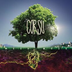 music cover