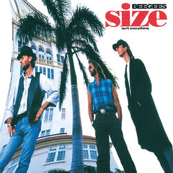 Cover of Size Isn't Everything