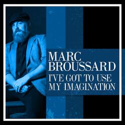 Cover of I've Got To Use My Imagination