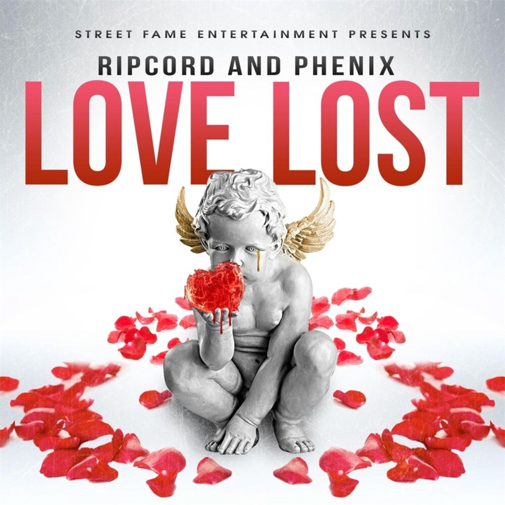 Picture of Love Lost