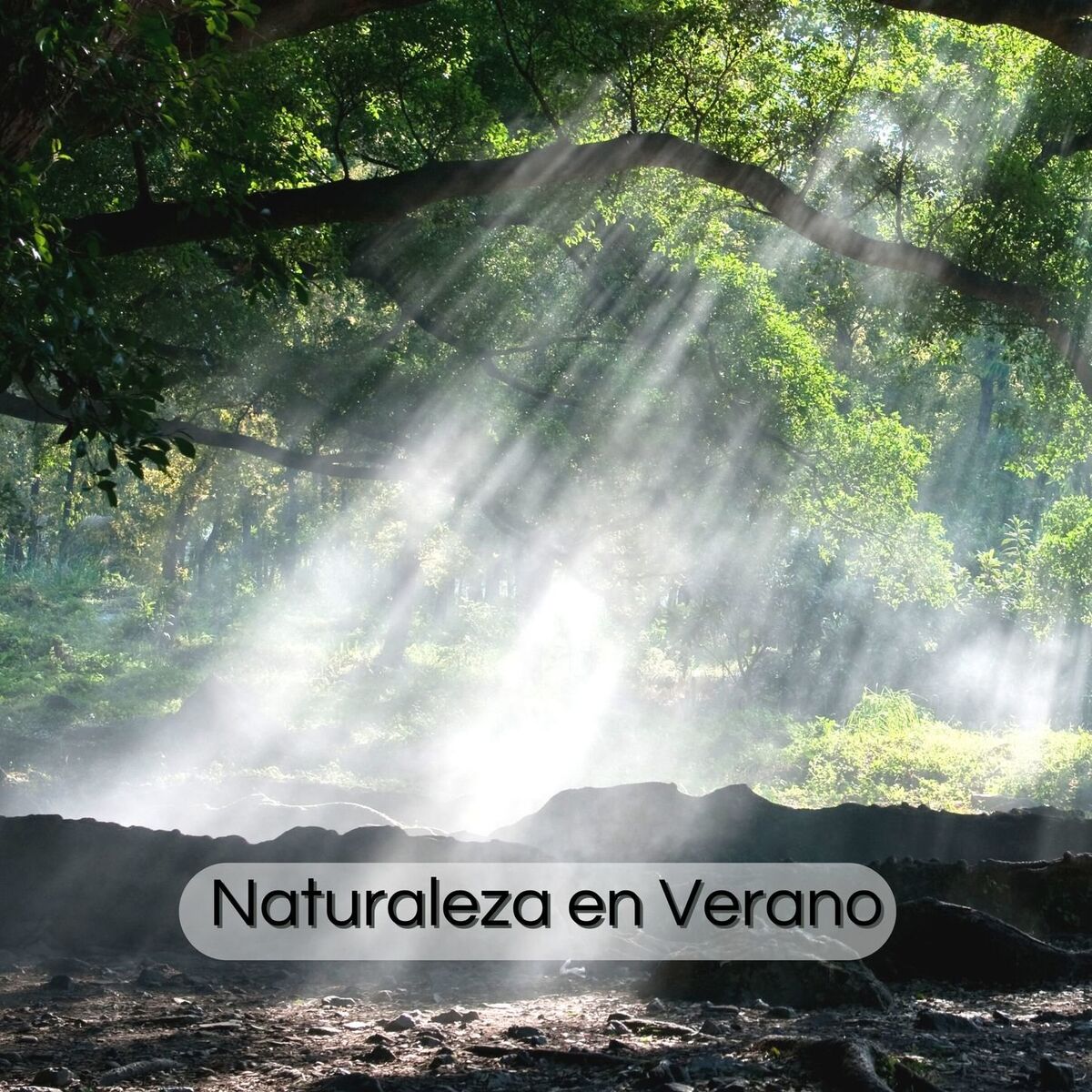 Album cover of Naturaleza en Verano: Sonidos de la Naturaleza para las Tardes del Verano